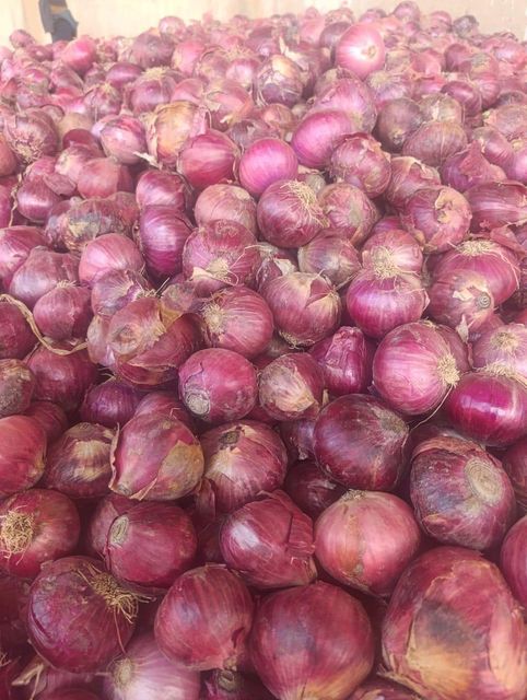 Fresh Red Onions - Premium Quality - Image 3